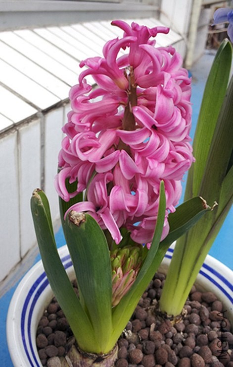 20140226_3-2_����.jpg