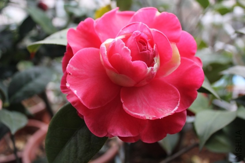 ���˽�.jpg