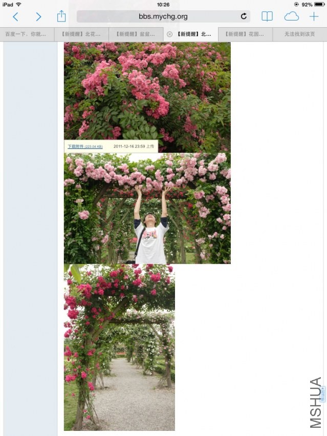 image.jpg