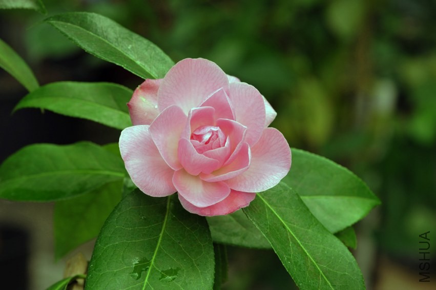_DSC5009_edited-1.jpg