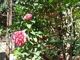 UC_Photo_030.jpg