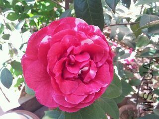 UC_Photo_031.jpg