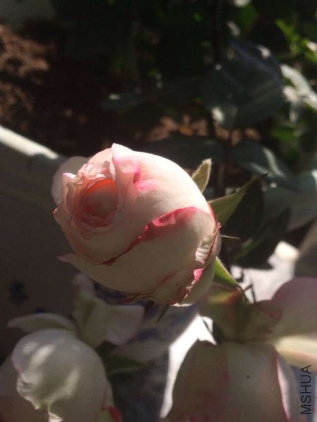 QQͼƬ20140301133414.jpg