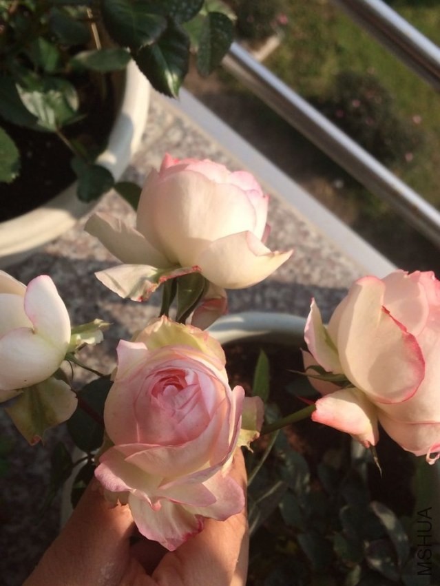 QQͼƬ20140301133431.jpg