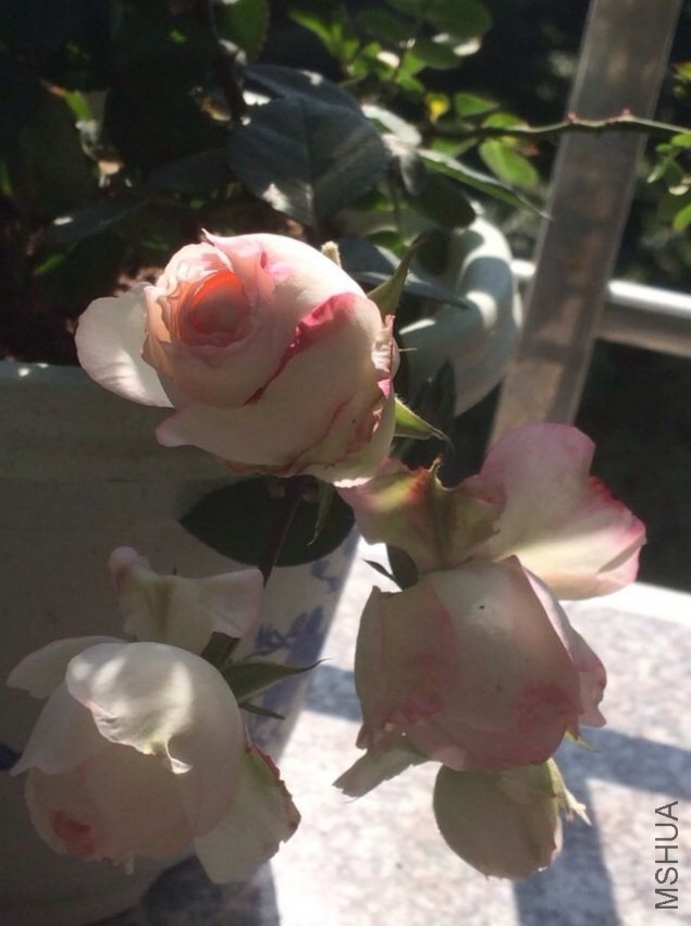 QQͼƬ20140301133437.jpg