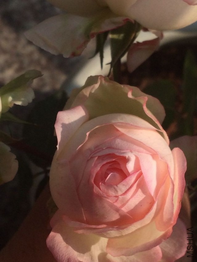 QQͼƬ20140301133454.jpg