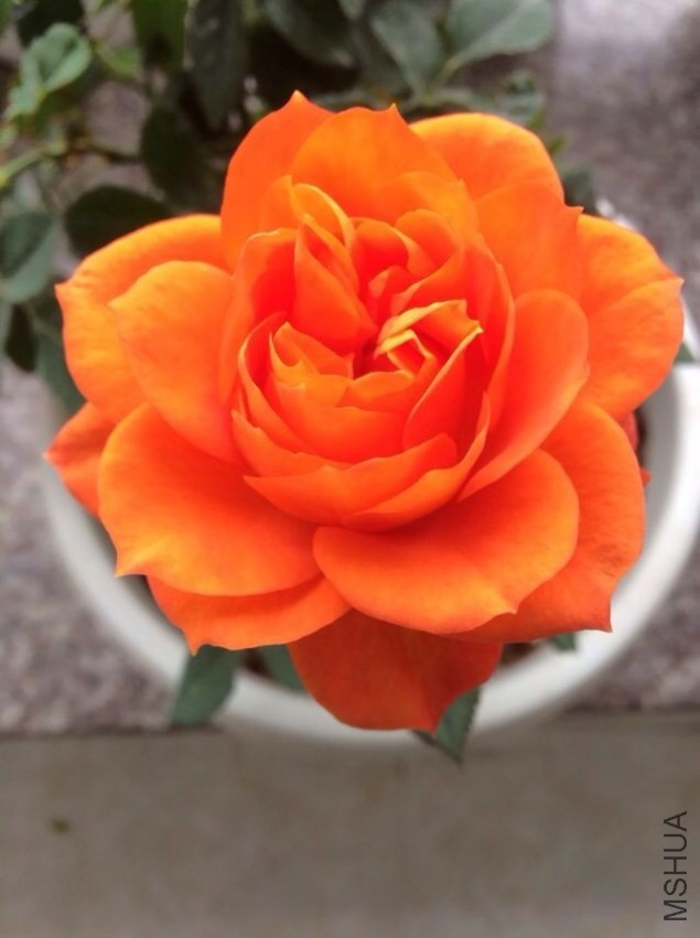 QQͼƬ20140301140029.jpg
