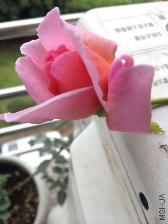 QQͼƬ20140301142100.jpg