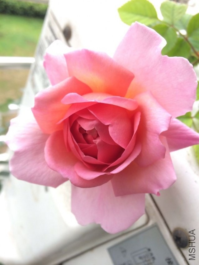 QQͼƬ20140301142110.jpg