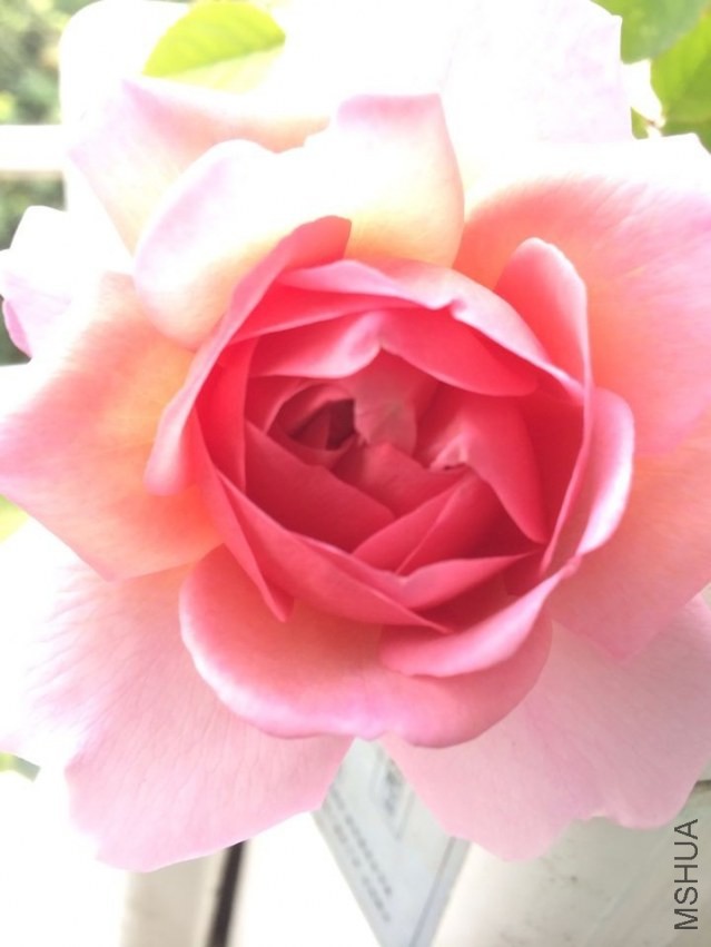 QQͼƬ20140301142104.jpg