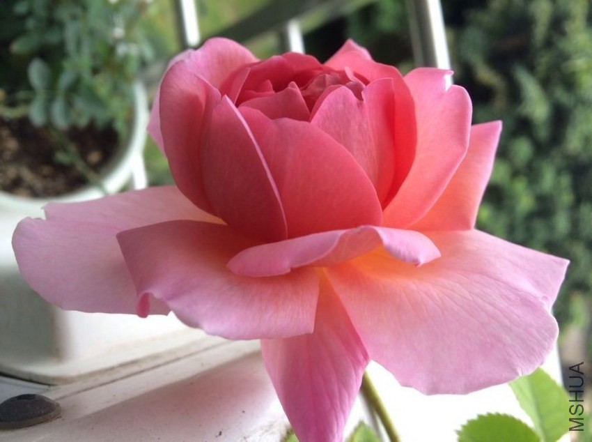 QQͼƬ20140301142107.jpg