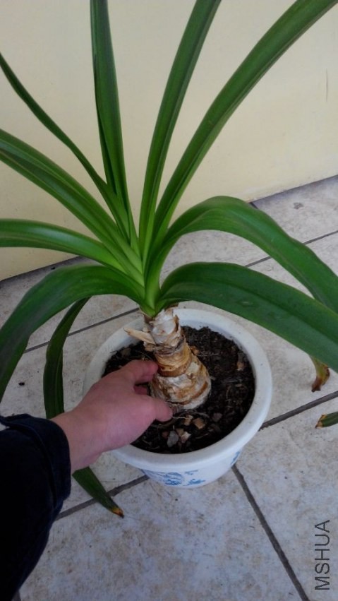 QQͼƬ20140301151738.jpg
