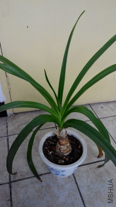 QQͼƬ20140301151745.jpg