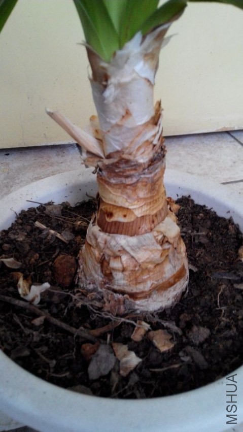 QQͼƬ20140301151751.jpg