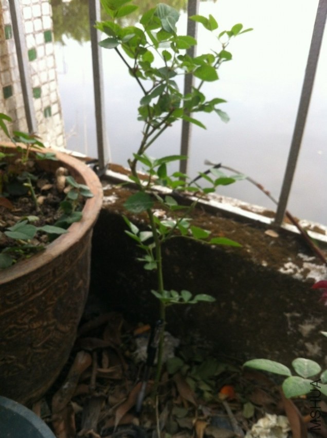 QQͼƬ20140301165612.jpg