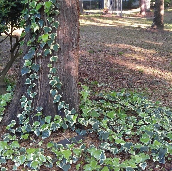 Compress_2014-03-01 18 25 17.jpg