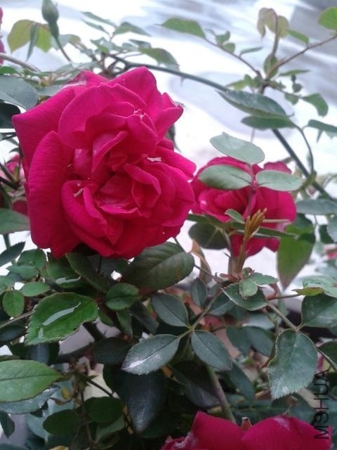 QQͼƬ20140301193610.jpg