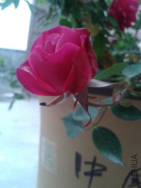 QQͼƬ20140301193620.jpg