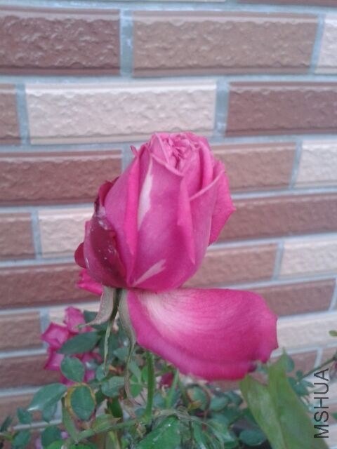 QQͼƬ20140301193628.jpg