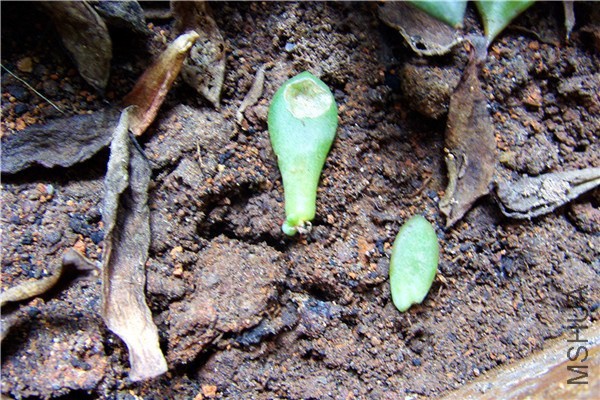 S73F8193.jpg
