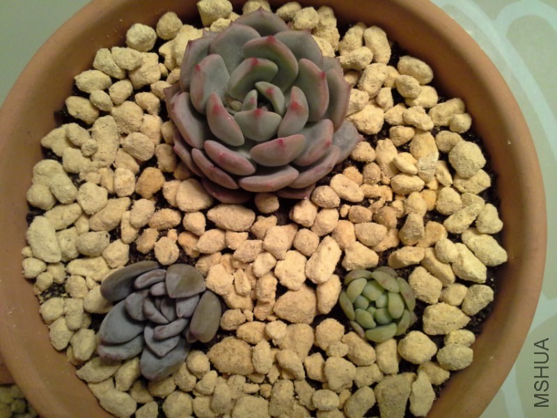 20140225_223252_800x600.jpg