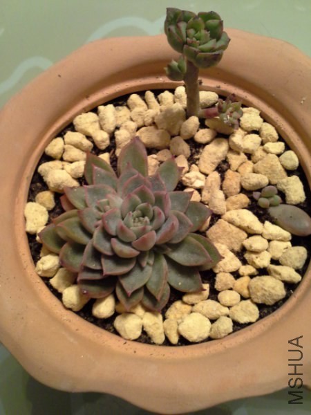 20140225_223554_450x600.jpg