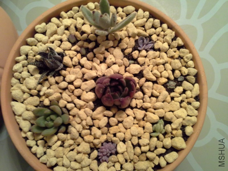 20140225_223313_800x600.jpg