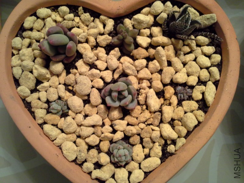 20140225_223403_800x600.jpg