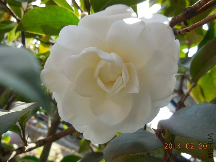 DSCN0246_meitu_2.jpg