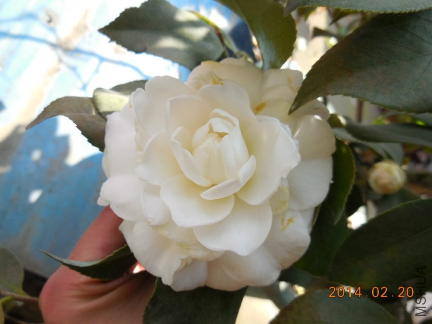DSCN0247_meitu_3.jpg