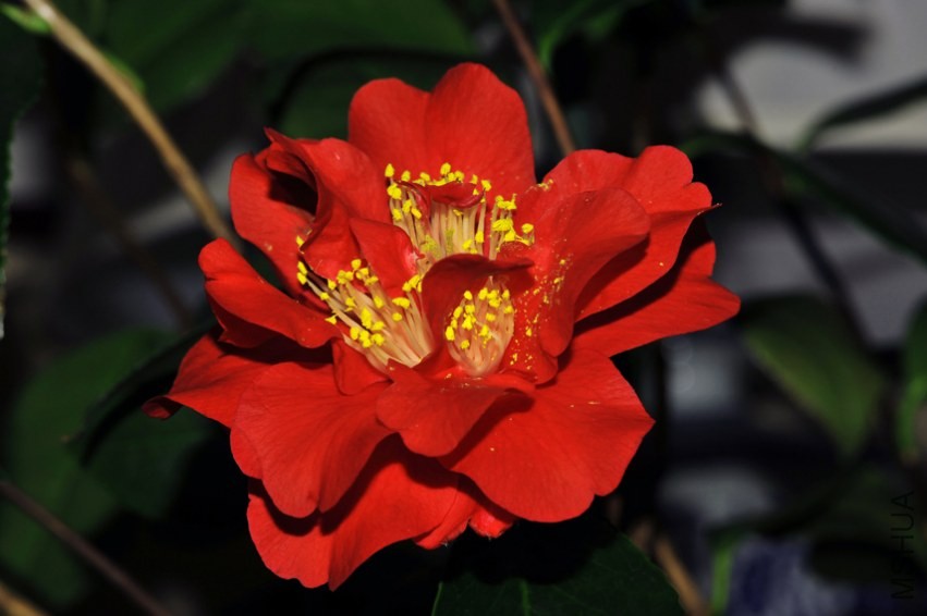 _DSC5045_edited-1.jpg