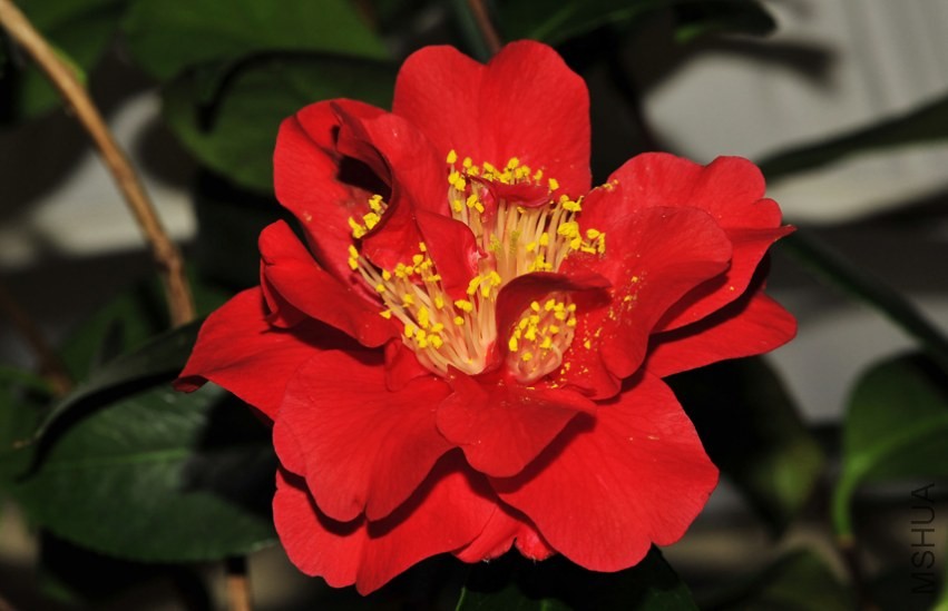 _DSC5046_edited-1.jpg