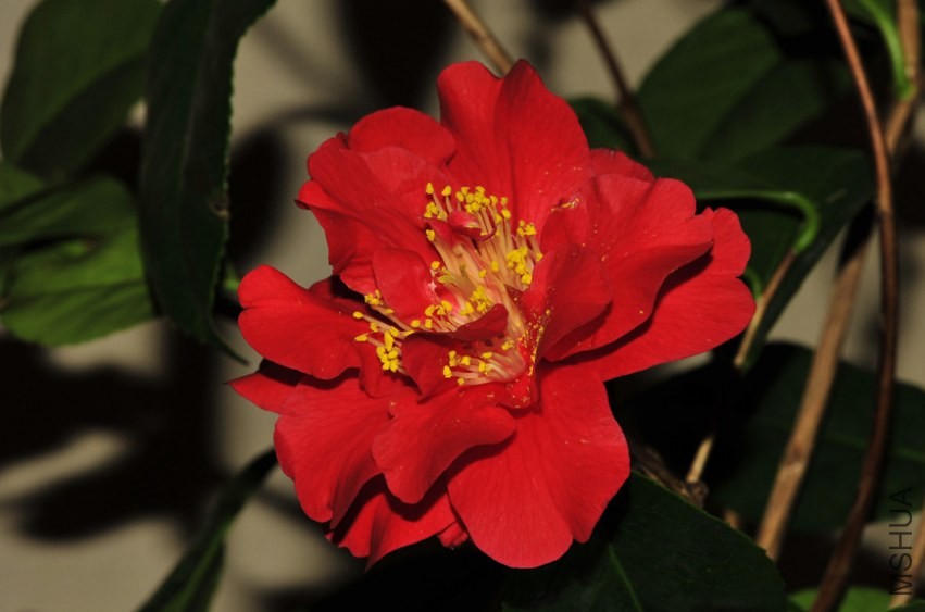 _DSC5050_edited-1.jpg
