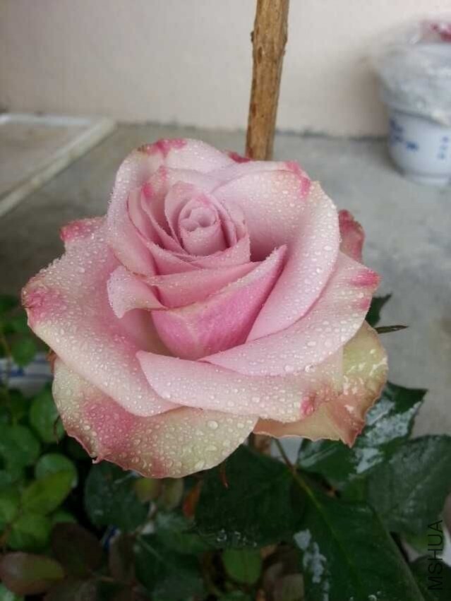 QQͼƬ20140303120506.jpg