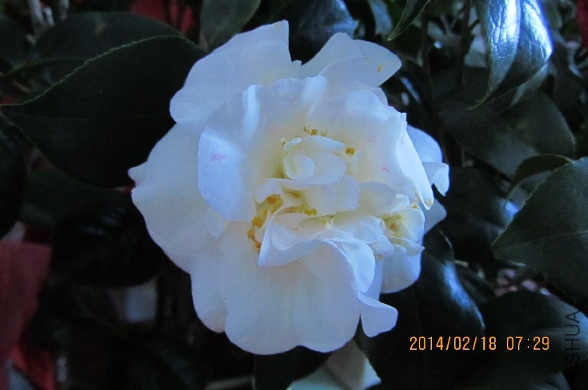 IMG_0390.JPG