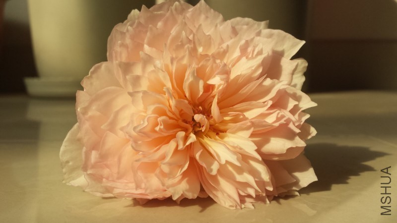 2013-10-28 1.jpg