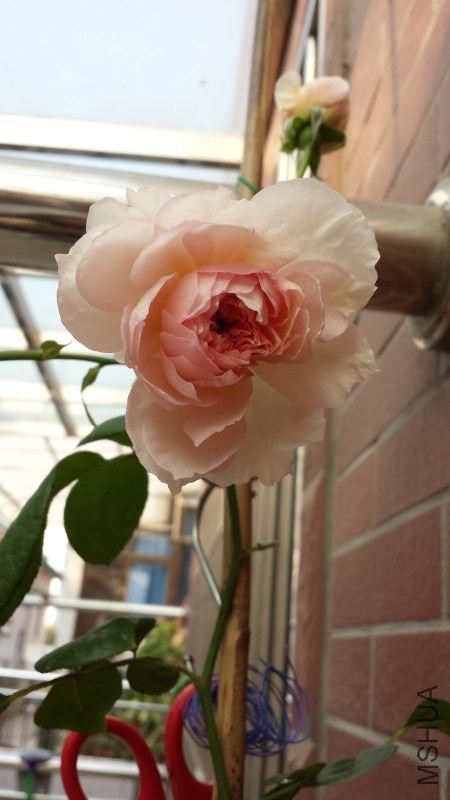 2013-10-28 3.jpg