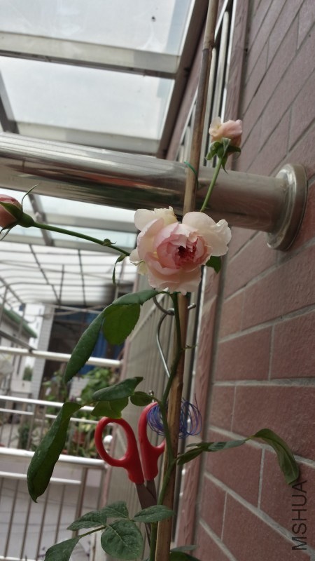 2013-10-28 2.jpg