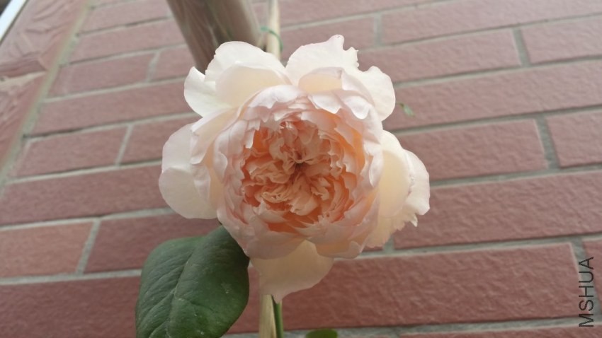 2013-11-11 4.jpg