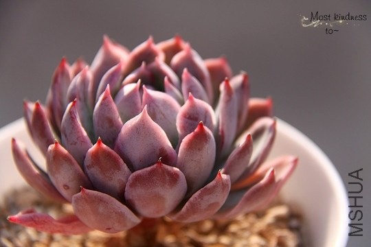 ����������磬��û��ϵ��