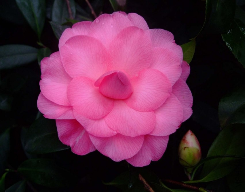 ̫���� 2014-3-1 047.jpg