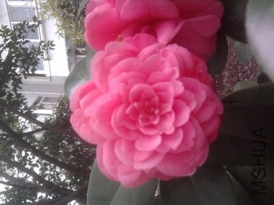 ��Ƭ0268.jpg