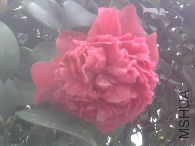��Ƭ0269.jpg