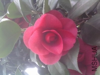 ��Ƭ0270.jpg