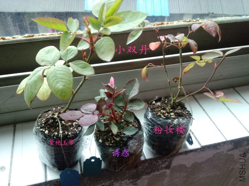 2014-03-04_13-23-24_528_����.jpg