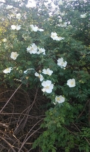 QQͼƬ20140304215844.jpg