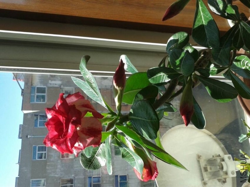 QQͼƬ20140305091417.jpg