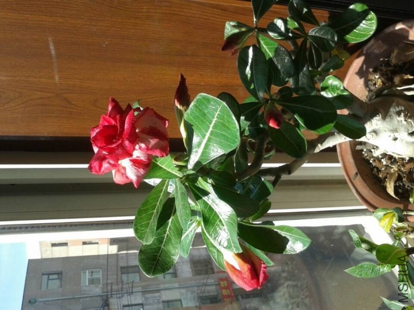 QQͼƬ20140305091425.jpg