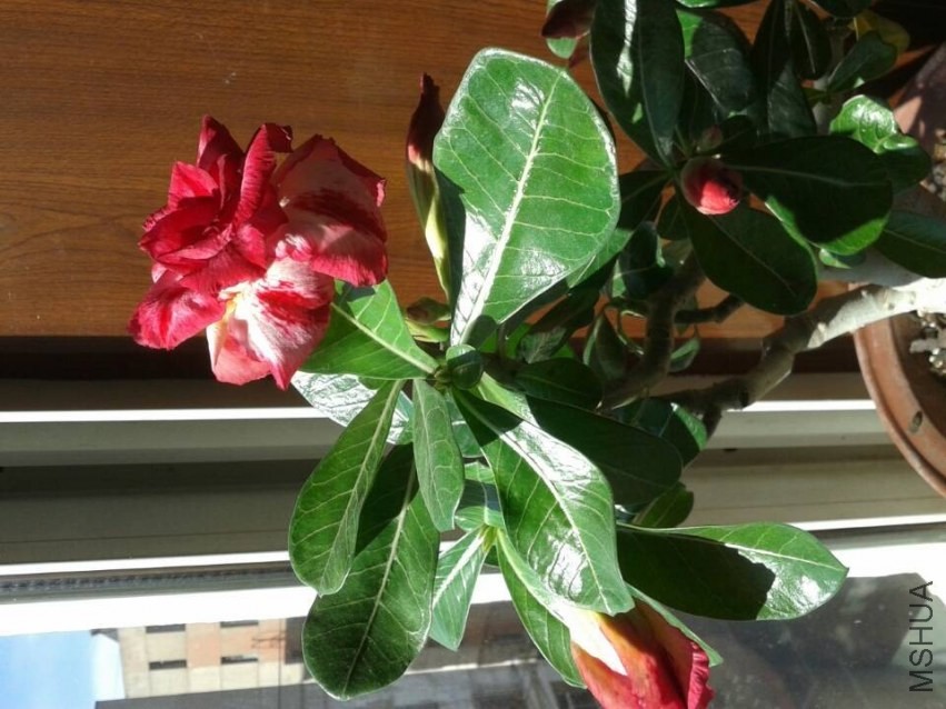 QQͼƬ20140305091429.jpg