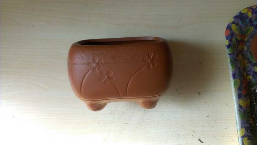 QQͼƬ20140305184821.jpg